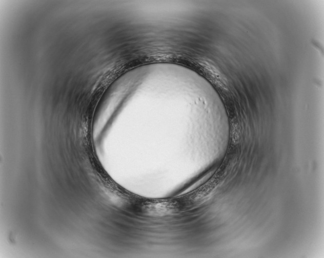 X0000094930365200712201058