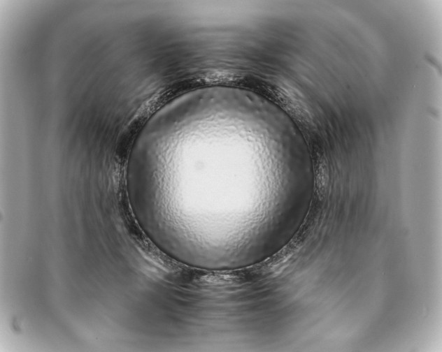 X0000094930367200712201058