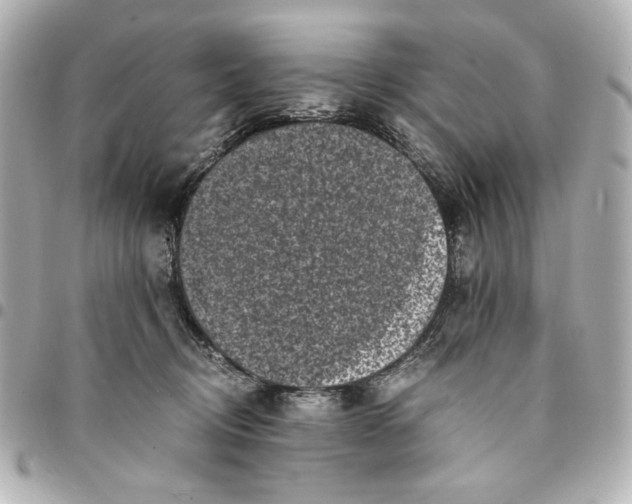 X0000094930370200712201058