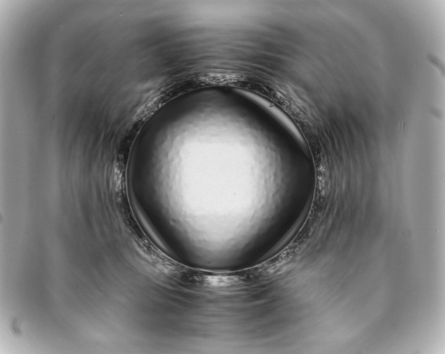 X0000094930371200712201058