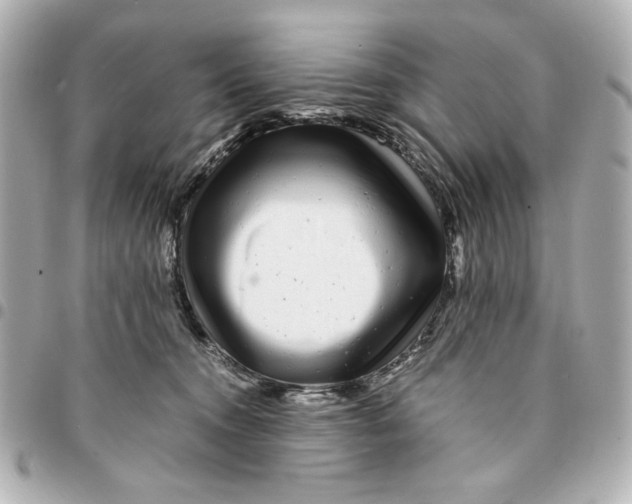 X0000094930372200712201058