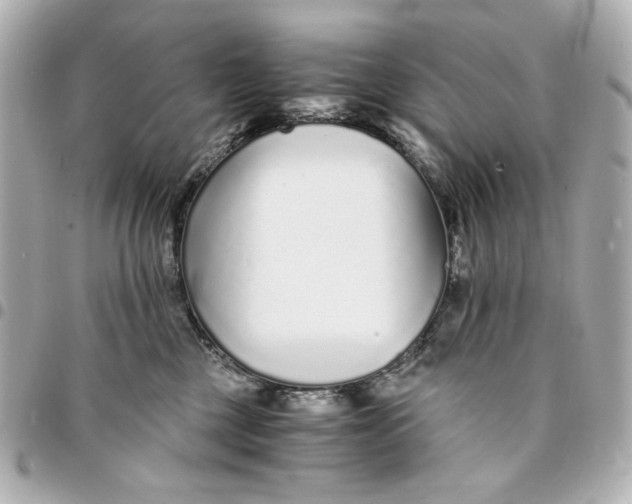 X0000094930377200712201058