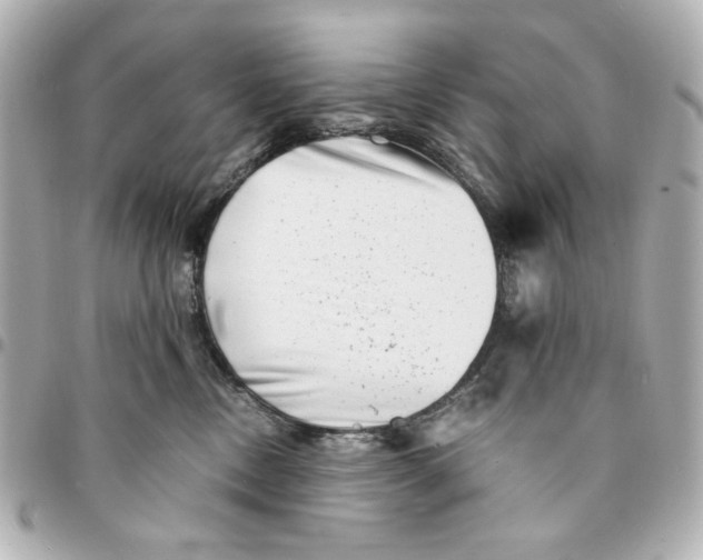 X0000094930378200712201058