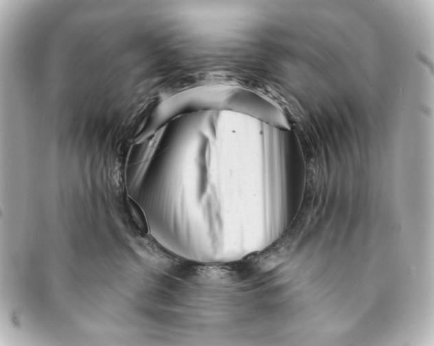 X0000094930380200712201058