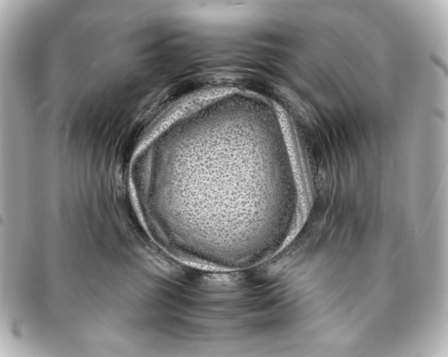 X0000094930381200712201058