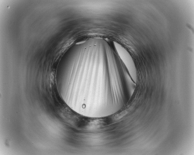 X0000094930382200712201058