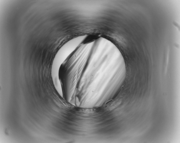 X0000094930384200712201058
