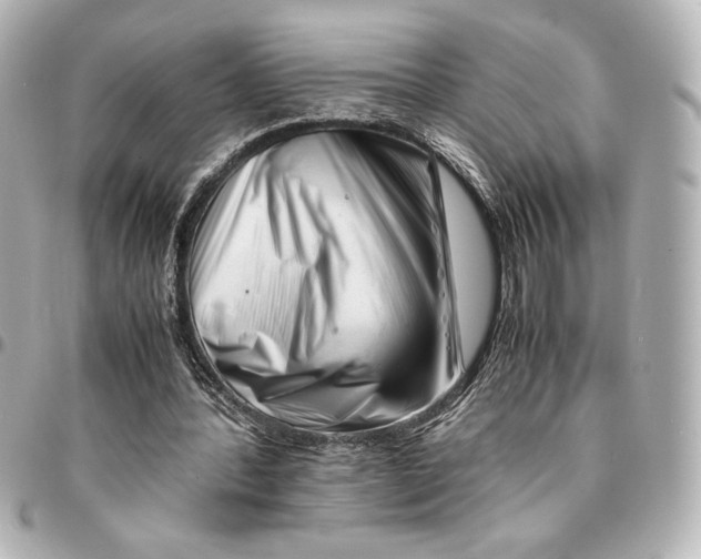X0000094930388200712201057