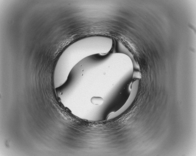 X0000094930401200712201057
