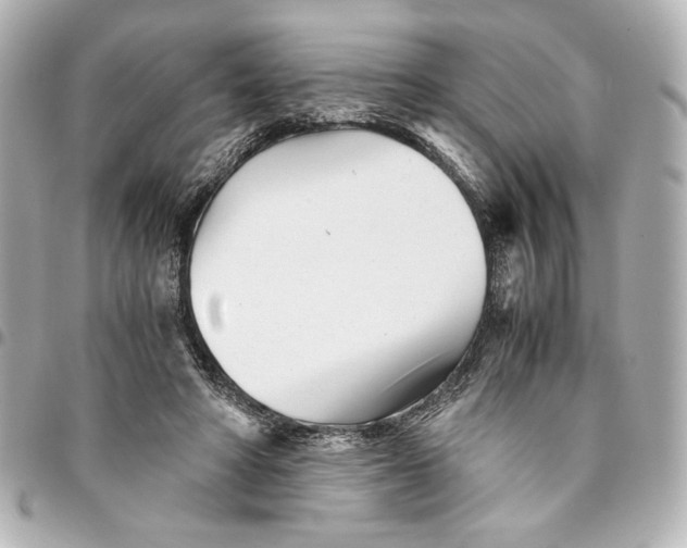 X0000094930402200712201057