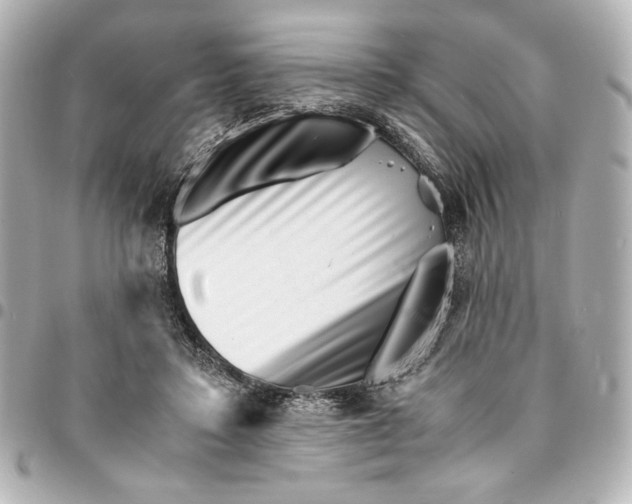 X0000094930403200712201057
