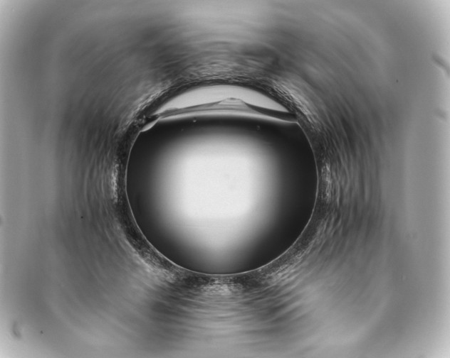 X0000094930404200712201057