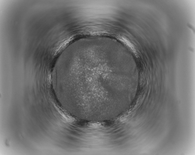 X0000094930405200712201057