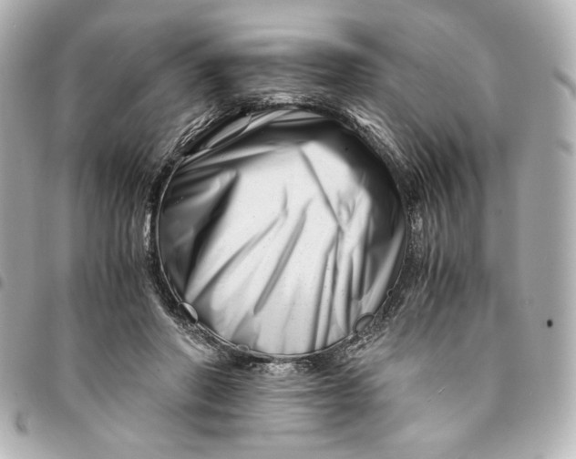 X0000094930406200712201057