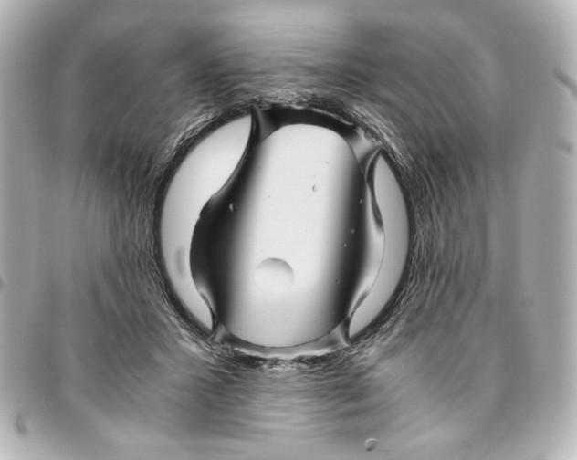 X0000094930407200712201057