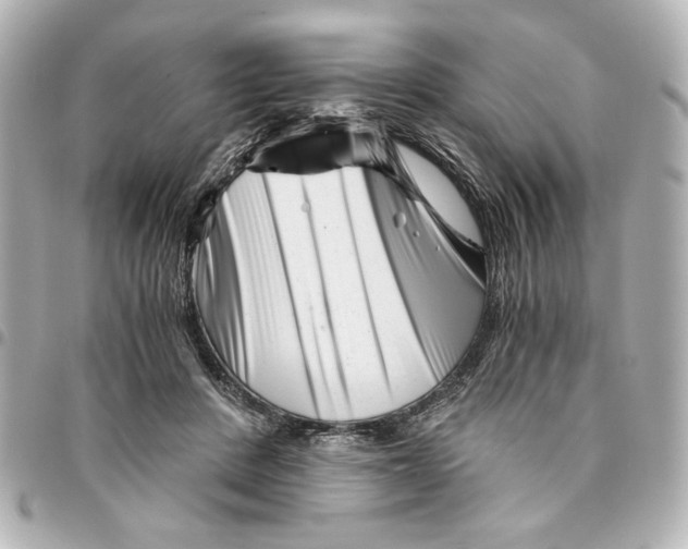 X0000094930408200712201057