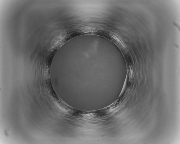 X0000094930411200712201057