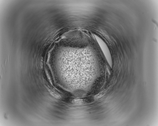 X0000094930413200712201057