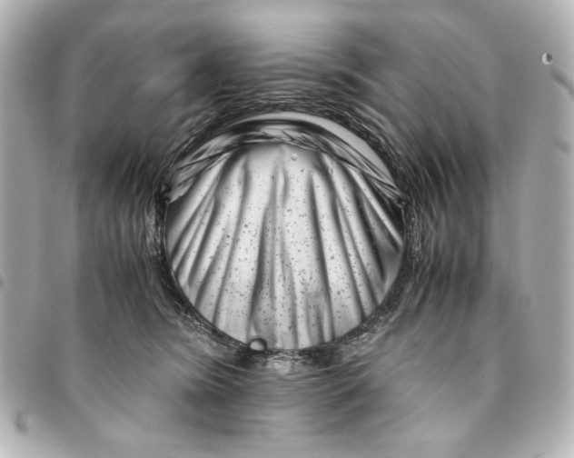 X0000094930420200712201057