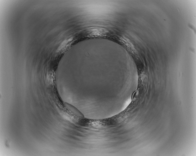 X0000094930423200712201057