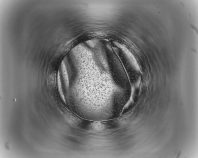 X0000094930425200712201057