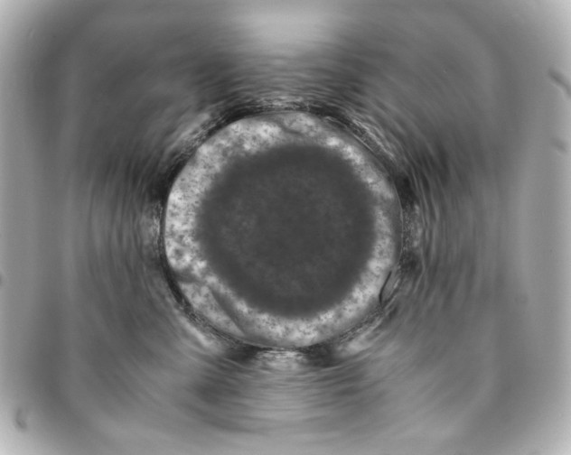 X0000094930427200712201057