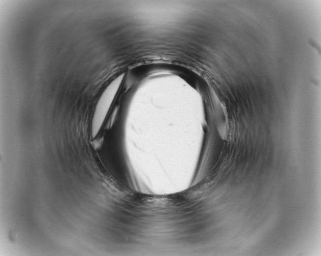 X0000094930428200712201057