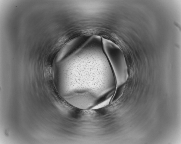 X0000094930429200712201057