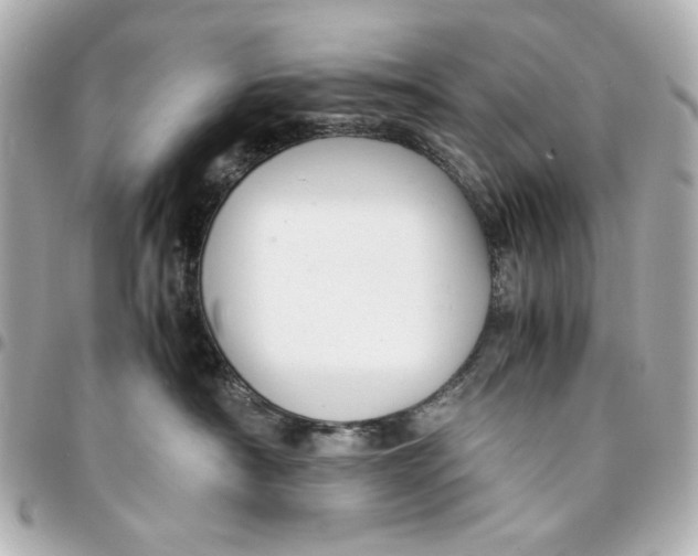 X0000094930430200712201057