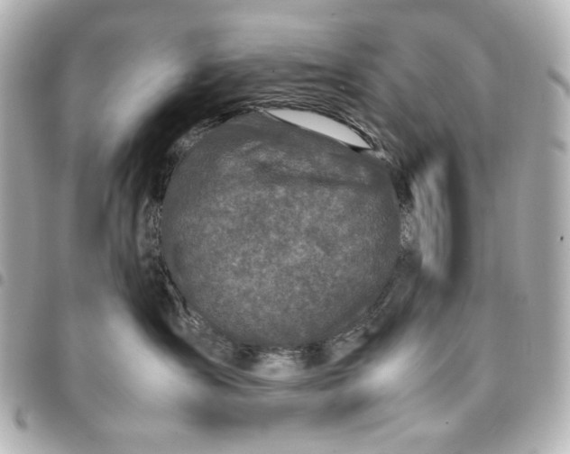X0000094930431200712201057