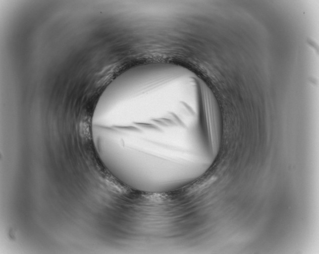 X0000094930432200712201057