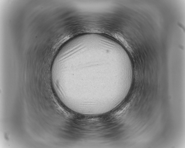 X0000094930433200712201056