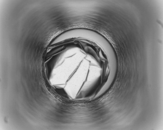 X0000094930434200712201056