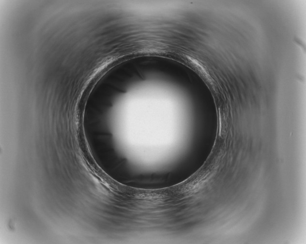 X0000094930435200712201056