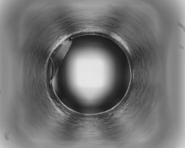 X0000094930436200712201056