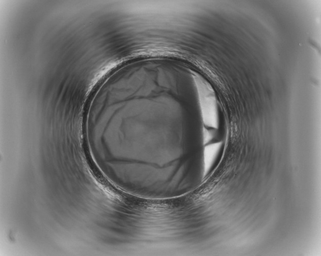 X0000094930438200712201056