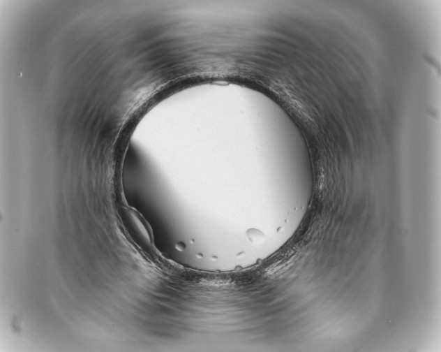 X0000094930440200712201056