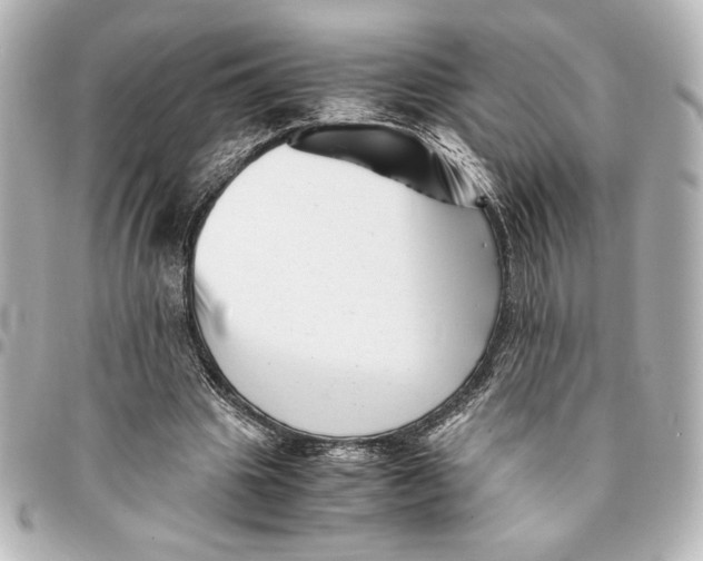 X0000094930441200712201056