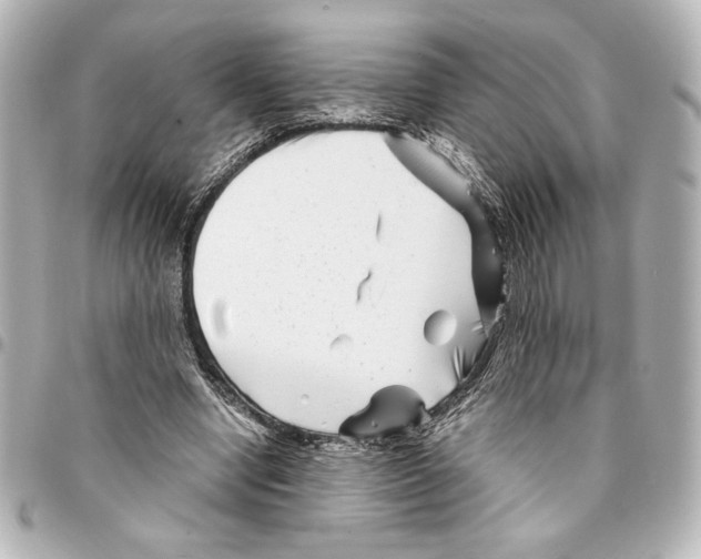 X0000094930442200712201056