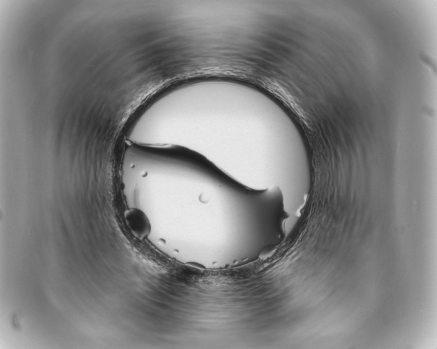 X0000094930444200712201056
