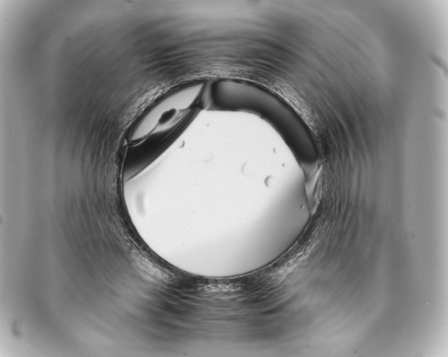 X0000094930445200712201056