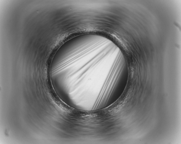 X0000094930447200712201056