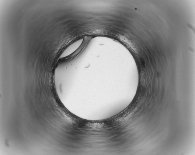 X0000094930449200712201056