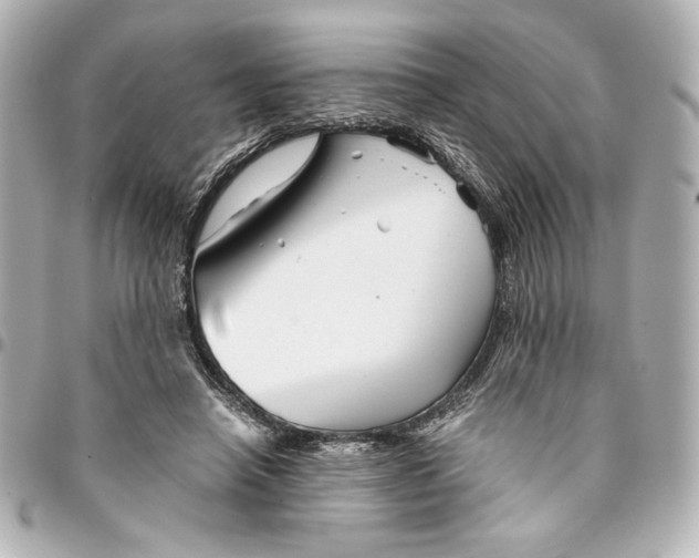 X0000094930450200712201056