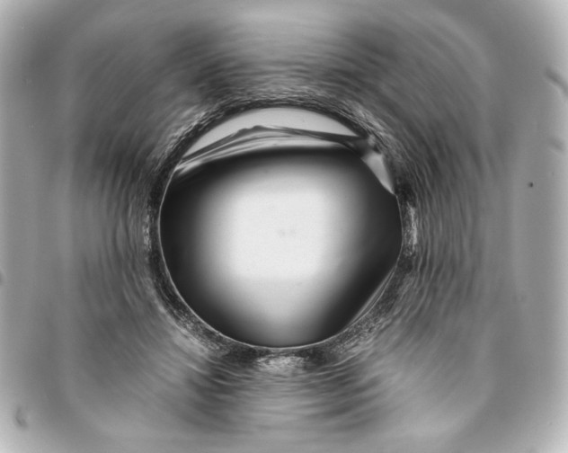 X0000094930452200712201056