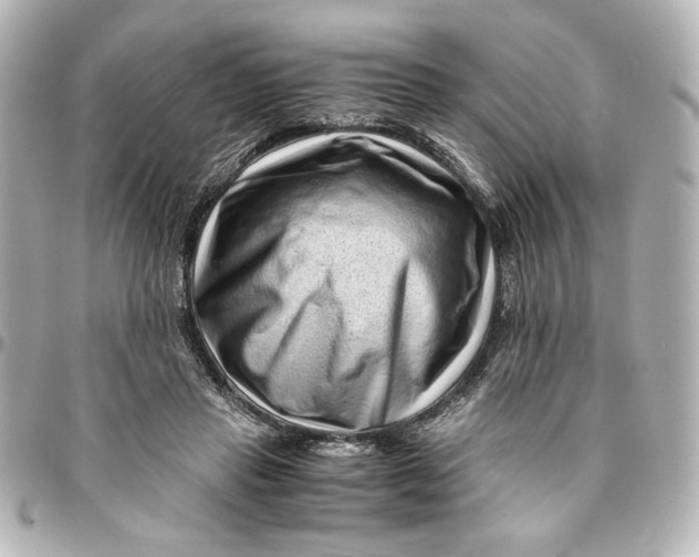 X0000094930453200712201056