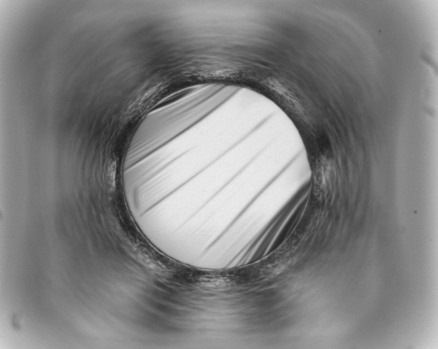 X0000094930454200712201056