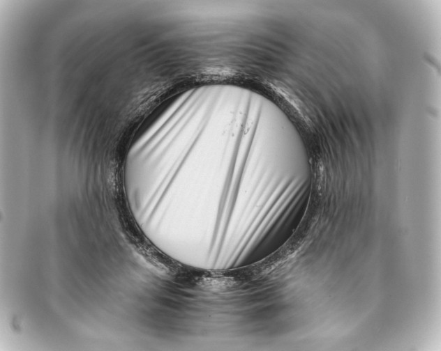 X0000094930455200712201056