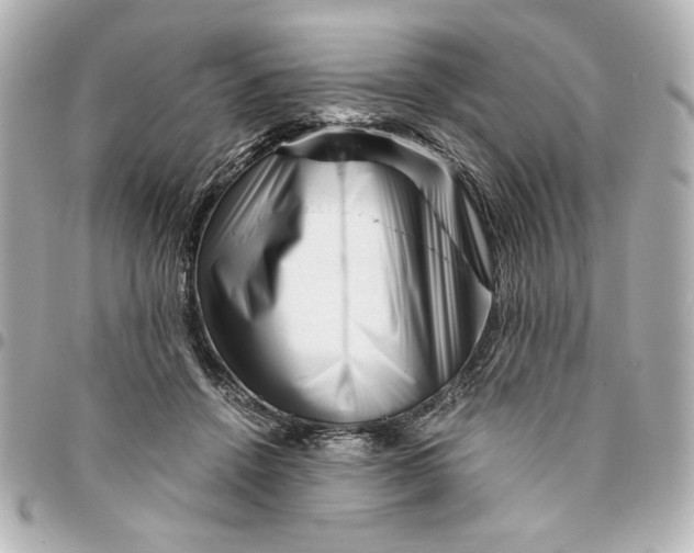 X0000094930456200712201056