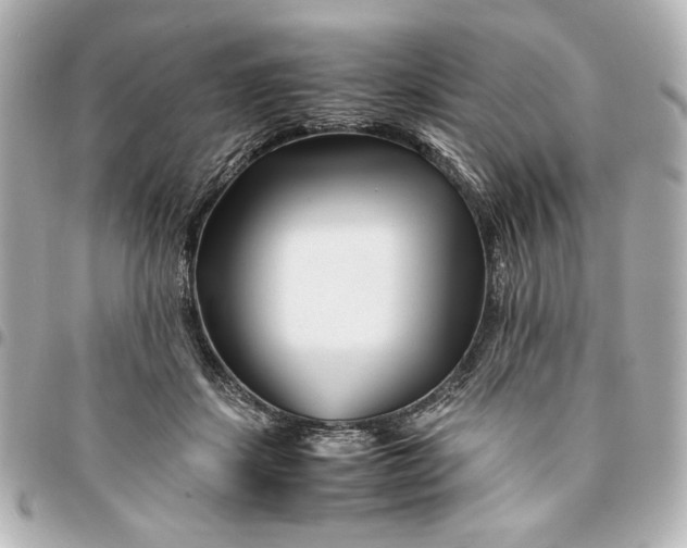 X0000094930459200712201056